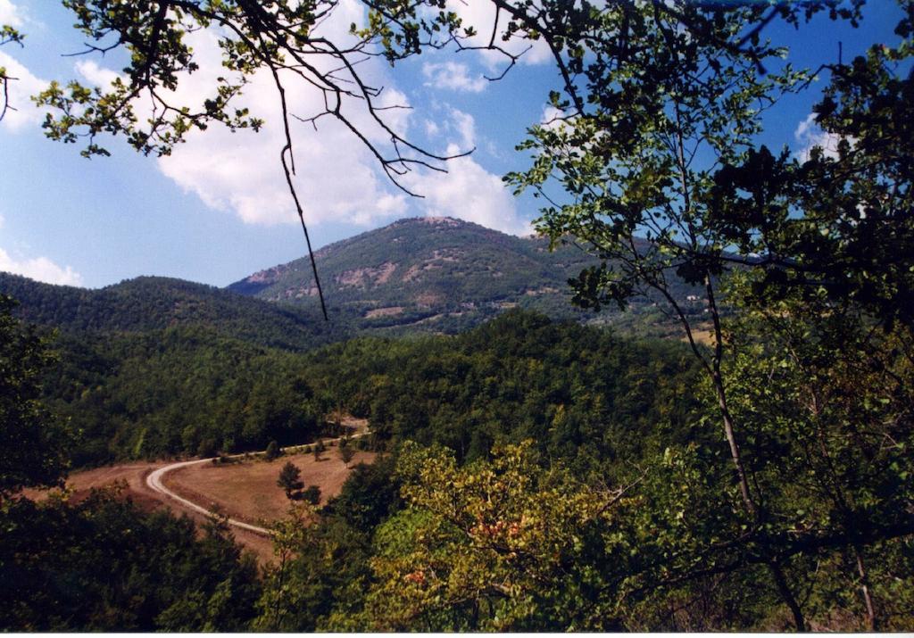 Agriturismo Monte Acuto ウンベルティデ エクステリア 写真