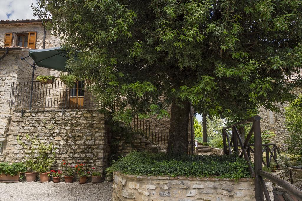 Agriturismo Monte Acuto ウンベルティデ 部屋 写真